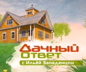 Дачный ответ от 21.06.2026